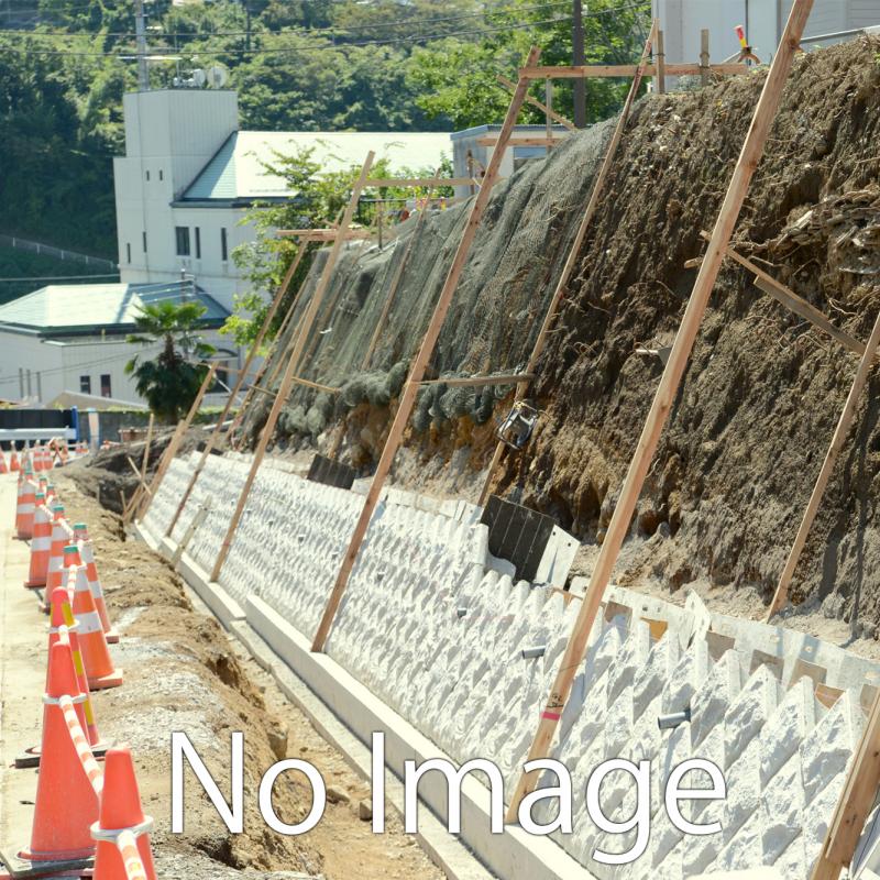 Ａ・Ｓ・Ｎ研究所